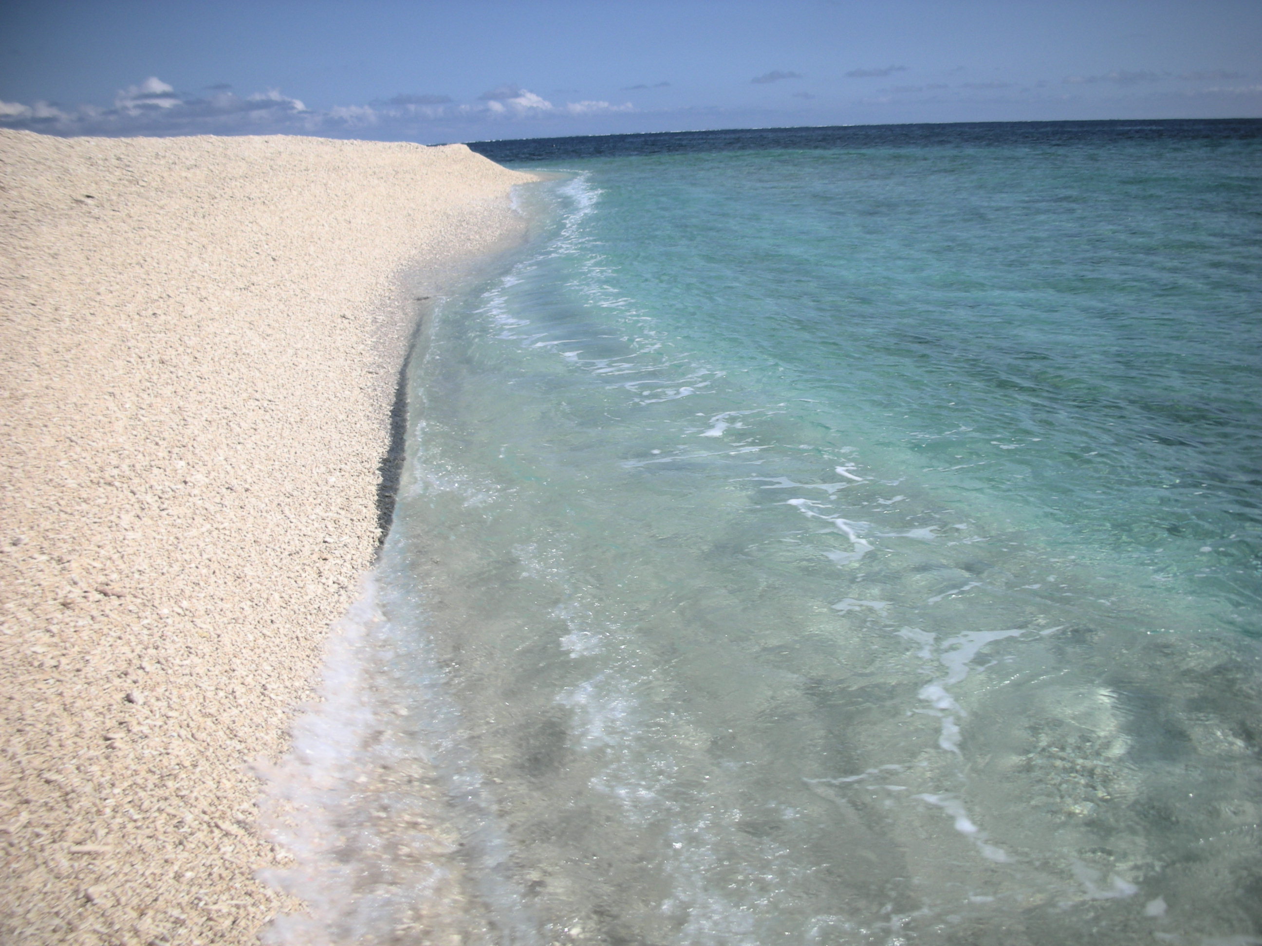 西表島　海岸